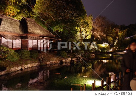 後楽園 秋の幻想庭園 後楽園 秋の幻想庭園 71789452