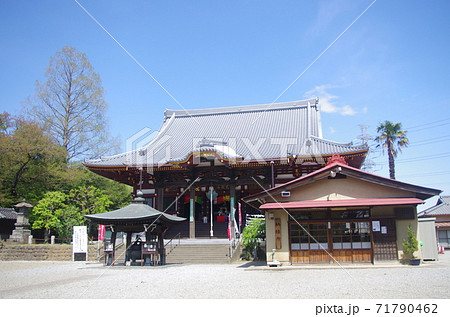 慈恩寺 花まつり5 慈恩寺 花まつり5 71790462