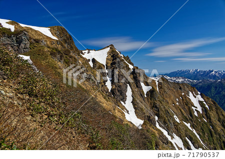 残雪の西黒尾根から見る谷川岳稜線と巻機山の写真素材
