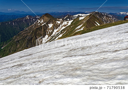 谷川岳の残雪と上越国境稜線の山並み 71790538