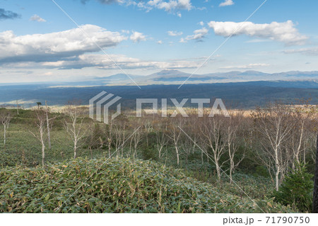 ハイランド小清水725 71790750