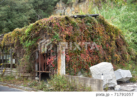 日本の古い建物の美しい紅葉 日本の古い建物の美しい紅葉 71791057