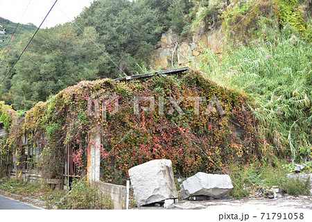 日本の古い建物の美しい紅葉 日本の古い建物の美しい紅葉 71791058