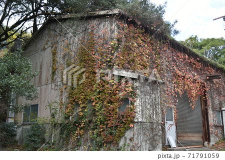 日本の古い建物の美しい紅葉の写真素材