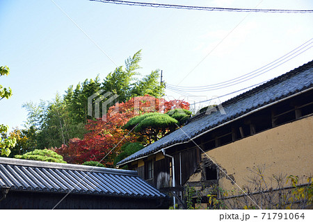 日本の古い建物の美しい紅葉の写真素材