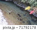 日高川 和歌山県 71792178