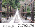 吊り橋 71792179
