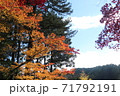 紅葉 71792191