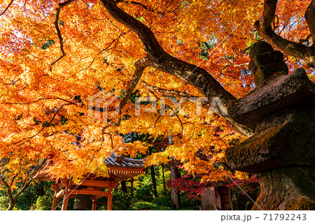 大興善寺 紅葉の写真素材