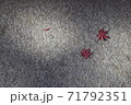 紅葉 71792351