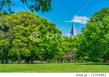東京都渋谷区、代々木公園の中央広場 71793867