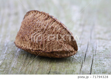 Still life stock photography 71794328