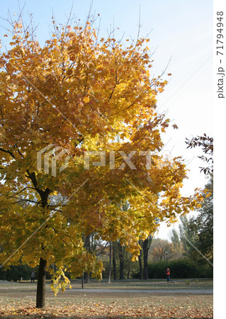 Still Life Stock Photography 71794948