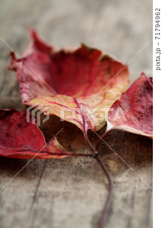 Still Life Stock Photography 71794962
