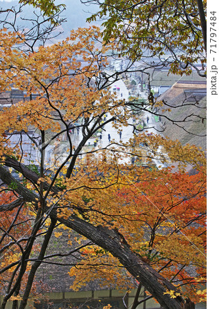 紅葉を通してみる大内宿の写真素材