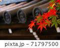 寺院の紅葉 71797500