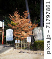 尾長天満宮・合格の木（広島市東区山根町） 71797861