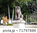 尾長天満宮・雄の狛犬（広島市東区山根町） 71797886