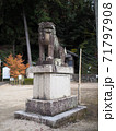尾長天満宮・雄の狛犬（広島市東区山根町） 71797908