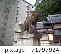 尾長天満宮・雌の狛犬（広島市東区山根町） 71797924