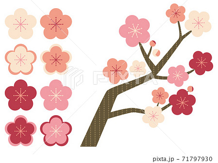 梅の花のグラフィックイラスト シンプル のイラスト素材