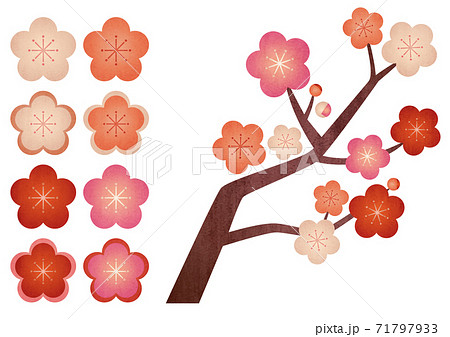 梅の花のグラフィックイラスト テクスチャ のイラスト素材