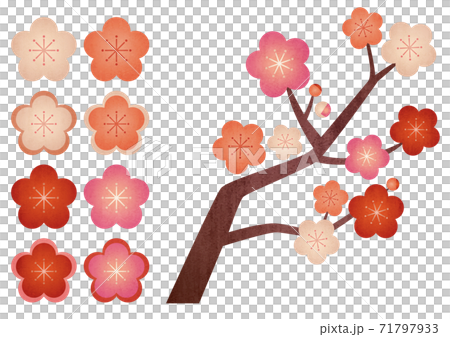 梅の花のグラフィックイラスト テクスチャ のイラスト素材