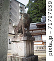 尾長天満宮・雌の狛犬（広島市東区山根町） 71797939