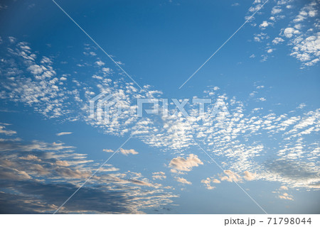 秋の始まりのうろこ雲の空の写真素材