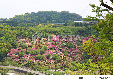 祐徳稲荷神社から東山公園を臨む 祐徳稲荷神社から東山公園を臨む 71798427