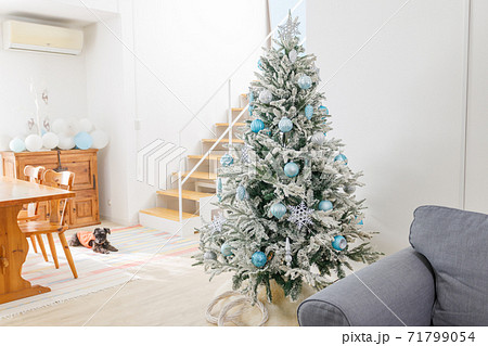 部屋に飾り付けられたクリスマスツリー 犬 の写真素材
