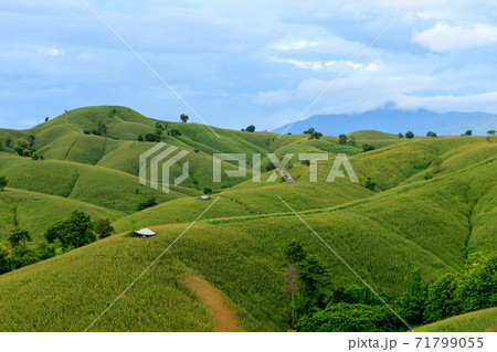Beautiful summer landscape in the mountains with the sunset 71799055