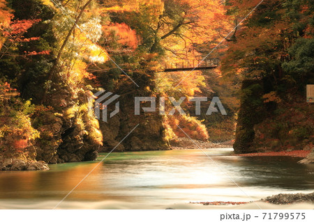 氷川渓谷　紅葉氷川渓谷 71799575