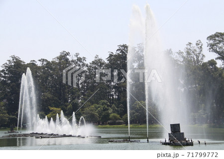 サンパウロ市にあるイビラプエラ公園内の噴水　ブラジル 71799772