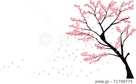 春風に舞う桜の木と花びらのイラスト素材