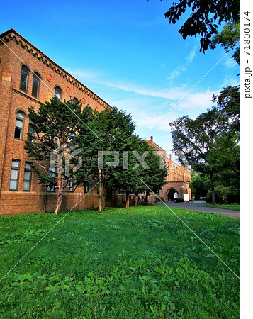 北海道大学総合博物館 71800174