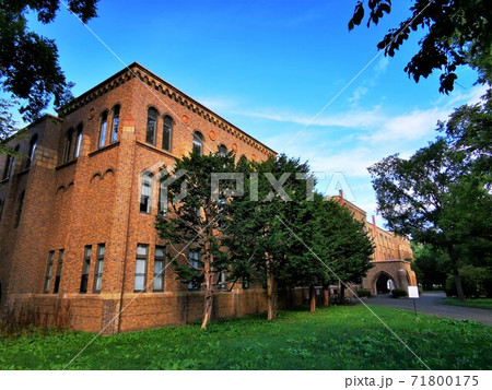 北海道大学総合博物館 71800175