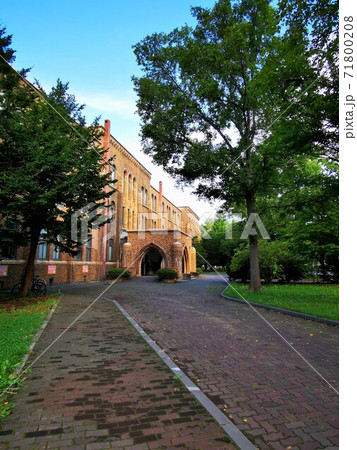 北海道大学総合博物館 北海道大学総合博物館 71800208