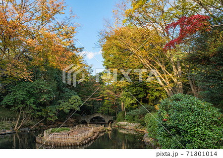 公園の風景　紅葉が美しい有栖川宮記念公園　東京都港区 71801014