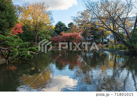 公園の風景　紅葉が美しい有栖川宮記念公園　東京都港区 71801015