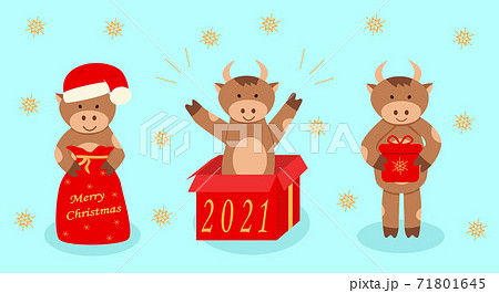 A set of cute Christmas bulls, a symbol of the Chinese new year 71801645