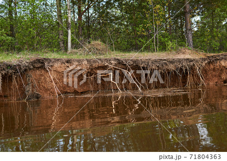 clayey bank of the river is washed away by water during floods 71804363