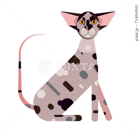 Oriental Short Hair Geometric Cat in Flat Oriental Short Hair Geometric Cat in Flat 71804945