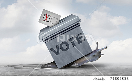 Slow Election Slow Election 71805358