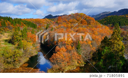 旭川治水ダム-秋景- 71805891