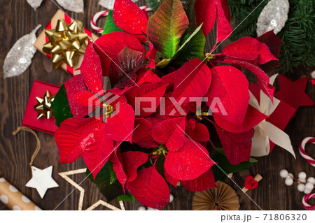 Holiday card - red flower poinsettia and craft Christmas decorations on dark wooden background. Holiday card - red flower poinsettia and craft Christmas decorations on dark wooden background. 71806320