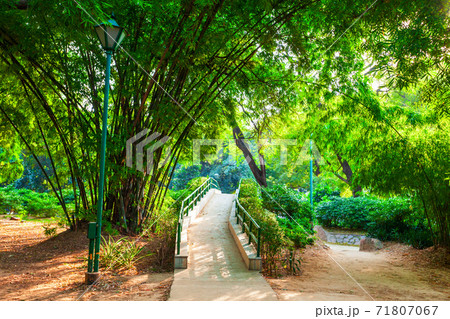 Lodi Gardens park in New Delhi 71807067