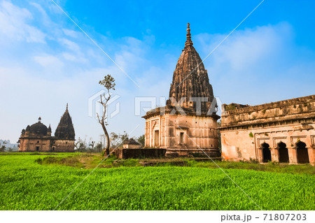 Chhatris in Orchha city, India 71807203