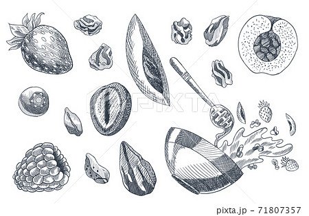 Granola coloring engraved style illustration. Various berries, fruits and nuts. Homemade delicious set. Ingredients for making granola. Healthy breakfast. Hand drawn vector illustration Granola coloring engraved style illustration. Various berries, fruits and nuts. Homemade delicious set. Ingredients for making granola. Healthy breakfast. Hand drawn vector illustration 71807357