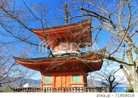 【広島県】晴天下の宮島多宝塔 【広島県】晴天下の宮島多宝塔 71808016